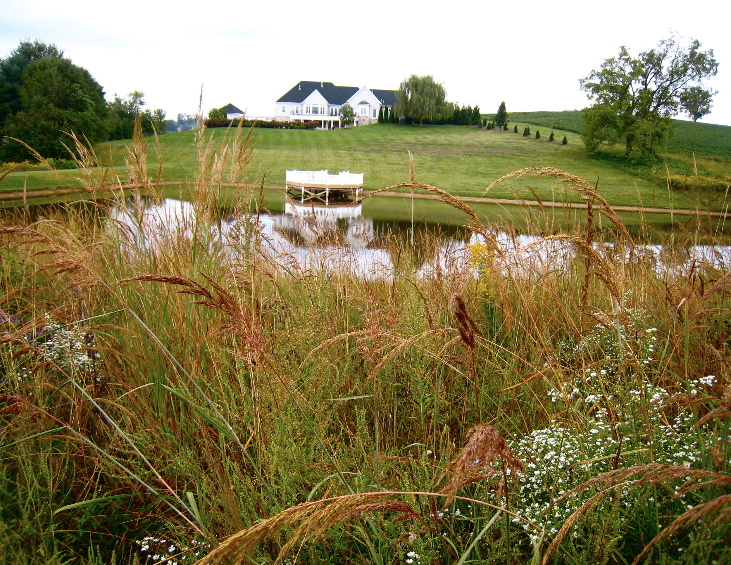 Meadow — The Natural Garden, Inc.
